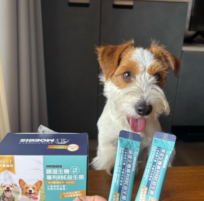 女人知己試用大隊,口碑行銷,部落客行銷,Moegis萌吉 腸道生機專利RBE益生菌,寵物益生菌,專利RBE益生元,專利蔬果酵素,小分子胜肽,藍藻粉,維持免疫力,幫助維持消化道機能,維持正常食慾,改變細菌叢生態,腸胃保健,犬貓適用